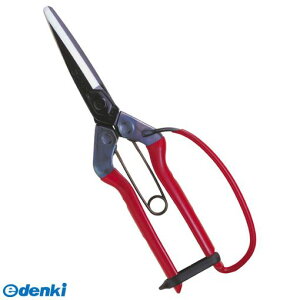 ߐ 4967645031706  ےn K[ht T|700G ܓyLZsz