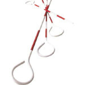 }C]bNX SAP30 s|[ yLZsz MYZOX go[syLZsz