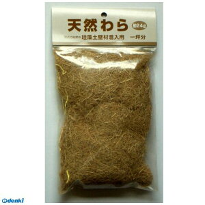 tWw 4943068413060 ]yǍޗpVR 24g