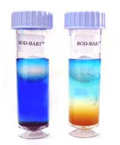 MK BOD-BART ȈՒZBODVXe 15eXg^1 BODBART