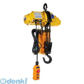 楽天市場 電動 チェーン ブロック 100v 1tの通販