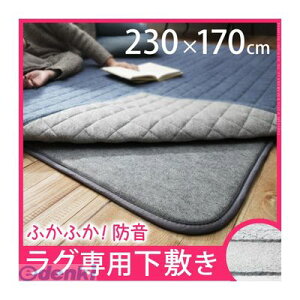 yF1z 33100111  sE[J[s hӂӂ~pO kӂs^l 230x170cm y3pz