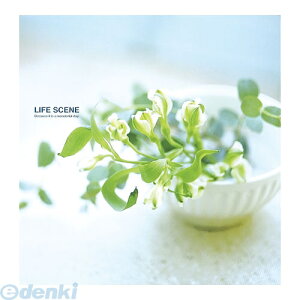 iJoV 33829 tGAoDigio CtV[ u[ LPF|1001|B 33829 LTCY rX Nakabayashi