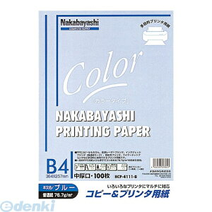 iJoV 61365 Rs[v^p J[^Cv B4 100 HCP|4111|B 61365 u[  LOAS Nakabayashi PPCJ[p v^p