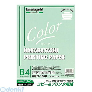 iJoV 61366 Rs[v^p J[^Cv B4 100 HCP|4111|G 61366 O[  LOAS Nakabayashi PPCJ[p v^p