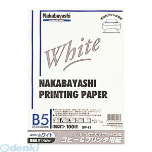 iJoV 66006 Rs[v^p zCg^Cv B5F100 W|13 66006