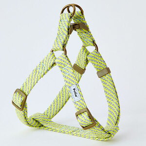 yeBI W57871 tbV\tgn[lX SS CG[