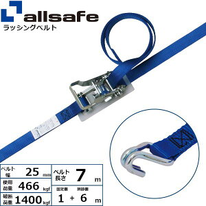 yF1zallsafe 45198  sE[J[s `Fbgi[tbNdl Œ1m×6m  R2N16