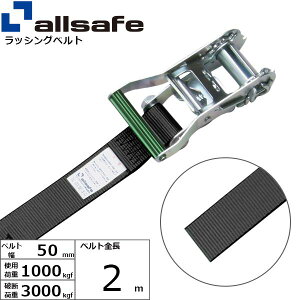 (LINE�N�[�|���L)�y���F1�zallsafe 45461 ���� ����s�E�����[�J�[�����s�� ���`�F�b�g�����E���h�x���g 2m �� R5R2