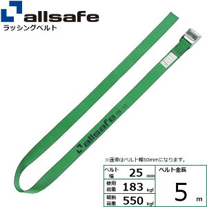 (LINE�N�[�|���L)�y���F1�zallsafe 45518 ���� ����s�E�����[�J�[�����s�� �J�������E���h�x���g�^�C�v 5m �� C2R5