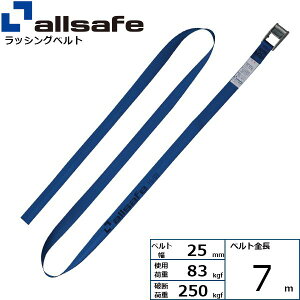�y���F1�zallsafe 45541 ���� ����s�E�����[�J�[�����s�� �J�������E���h�x���g�^�C�v 7m �� CL2R7
