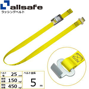 yF1zallsafe 45569  sE[J[s JEh^CvtbgtbNdl 5m  C2R5FH