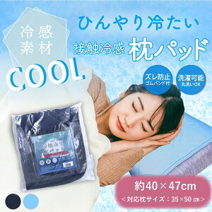 4589596694900 ڐG⊴ pbh lCr[ 40×47cmyLZsz