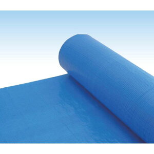 y12/10IIōő100|CgobNzylzszyF1ztiCY UVu[#3000-0.91X100  sE[J[s UVu[V[g3000 ڃ[ 0D91