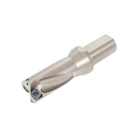 【個数：1個】タンガロイ TDX220F25-2 直送 代引不可・他メーカー同梱不可 TDX−F L／D＝2 TDX220F252