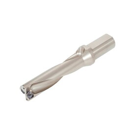 【個数：1個】タンガロイ TDX220F25-4 直送 代引不可・他メーカー同梱不可 TDX−F L／D＝4 TDX220F254