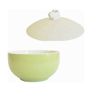 yF1zL9020578  sE[J[s VRWt W{E