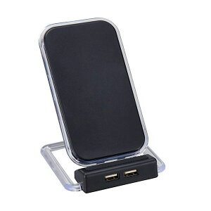 yF1zC6040586  sE[J[s 2USB|[gtCX[d AX^u