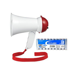 yF1zY01HM05WH+HDLR6/1.5V10P  sE[J[s YAZAWA nhKz ~j 5W { AJdr P3`10{pbNZbg
