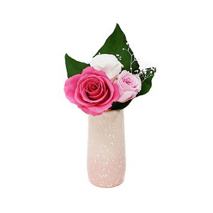 yF1zAKF-071  sE[J[s AK MtgV[Y 蕨ɍœKȃvU[uht[ ۖ|Pomu|  AKF071