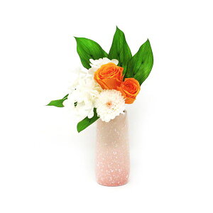 y12/5IIōő100|CgobNzyF1zAKM-011  sE[J[s AK MtgV[Y 蕨ɍœKȃvU[uht[ |Suzu| IW AKM011