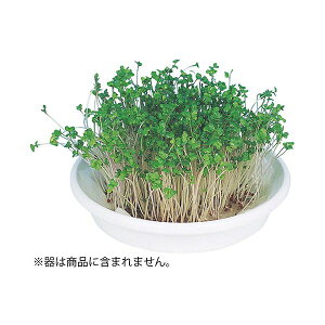 yF1zATC102969X10  sE[J[s 10Zbg ARTEC k͔|jbg ubR[XvEg