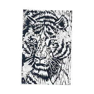 yF1zATC20312X10  sE[J[s 10Zbg ARTEC pŖ C 4{ 300x200x10