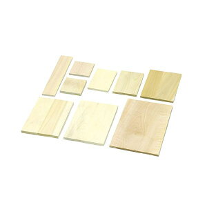 yF1zATC30510X10  sE[J[s 10Zbg ARTEC ؒ p A 220x160x14mm