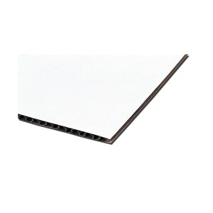 yF1zATC45509X5  sE[J[s 10g×5Zbg ARTEC Жʔi{[