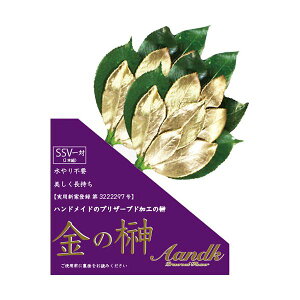 yF1zGSK-005  sE[J[s AK ̍SSV GSK005