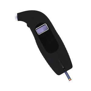 y11/25IIōő100|CgobNzyF1zKU-H01  sE[J[s LJ ^CP[W ^C̋CƖՂ̑ KUH01