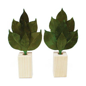 y11/25IIōő100|CgobNzyF1zST-001  sE[J[s AK SS 嗧ăZbg ST001