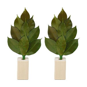 yF1zST-002  sE[J[s AK S 嗧ăZbg ST002