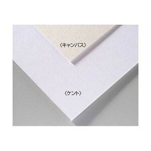 yF1zATC143304X20  sE[J[s 20Zbg ARTEC ABIWiA[g{[h B4LoX