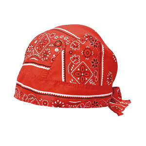 y12/5IIōő100|CgobNzyF1zATC3171X20  sE[J[s 20Zbg ARTEC 񂽂o_i 