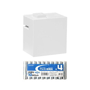 yF1zLR30WH+HDLR03/1.5V10P  sE[J[s KING JIM xv^[ evLite zCg { AJdr P4`10{pbNZbg