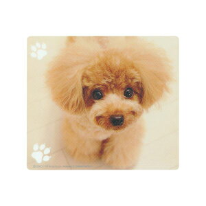 (LINE�N�[�|���L)�y���F1�zMPD-215BX5 ���� ����s�E�����[�J�[�����s�� 5�Z�b�g �T�����T�v���C �����}�E�X�p�b�h �e�B�[�J�b�v�v�[�h�� MPD215BX5