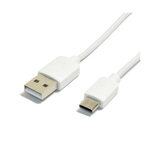 yF1zTYPEC1M-WHX10  sE[J[s 10Zbg {gXgeNmW[ Type|CP[u 1m zCg TYPEC1MWHX10