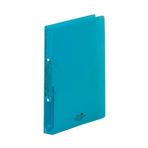 yF1zF-5005-28-BGX10  sE[J[s 10Zbg LIHIT LABD Ot@CEcCXgOA4S  F500528BGX10