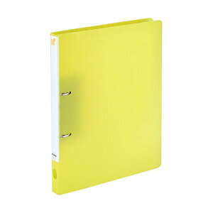 yF1zF-7005-5-YEX10  sE[J[s 10Zbg LIHIT LABD cCXgOt@C X}[gX A4 CG[ F70055YEX10