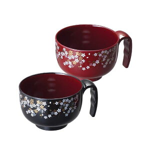 yF1z810213  sE[J[s Rht`o2FZbg 