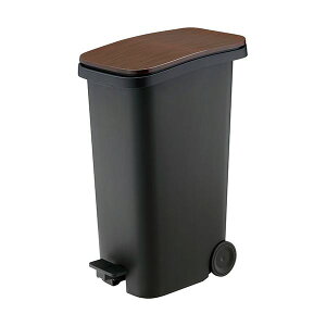 yF1zRSD-621WD  sE[J[s J X[X y__Xg{bNX31 uE RSD621WD