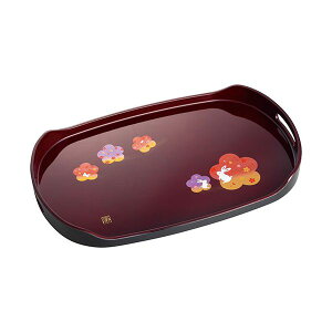 y12/5IIōő100|CgobNzyF1z4120-050  sE[J[s IBh  h~ ڌ