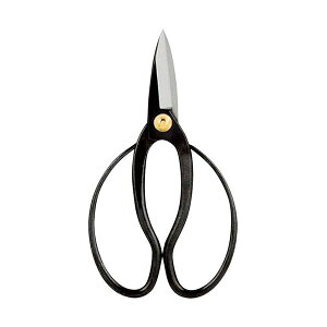 y12/5IIōő100|CgobNzyF1zK60801418  sE[J[s @ A