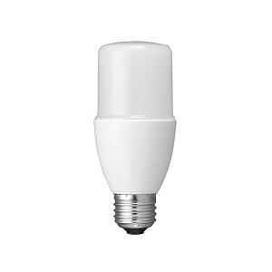 �y���F1�zLDT13NG ���� ����s�E�����[�J�[�����s�� YAZAWA T�`LED 100W�` E26 �����F