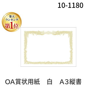 o yyVLO1ʊlzTTK ^J 10-1180 OA܏p  A3c100y100z 101180 S ㎿ c ^J󎆐i cp