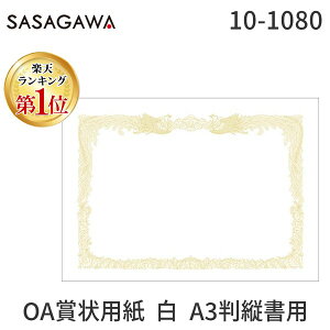 yyVLO1ʊlzo TTK ^J 10-1080 OA܏p  A3cpy10z 101080 ^ep c ㎿ ct LOi wZ   Xe[Vi[