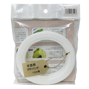 y11/10IIōő100|CgobNzMzH 930103 |pPPoh 15D5mm×10m 