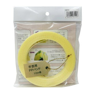 y11/10IIōő100|CgobNzMzH 931407 |pPPoh 15D5mm×10m 