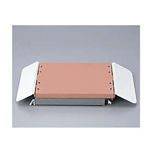 y12/5IIōő100|CgobNzyF1z4940577065049  sE[J[s TOTO oXtgpChV[g EWBP105RR